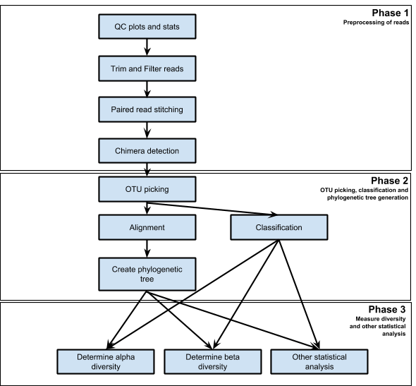 16s analysis pipeline