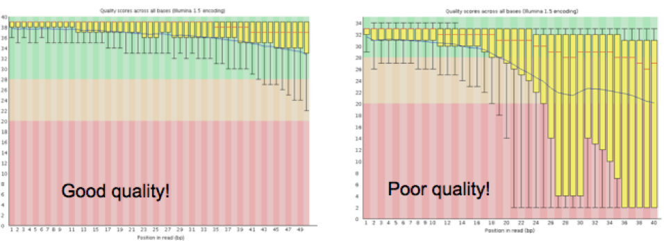 FastQC per-base quality scores