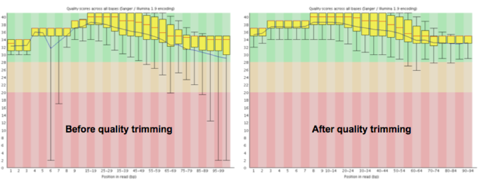 FastQC average quality score before and after trimming